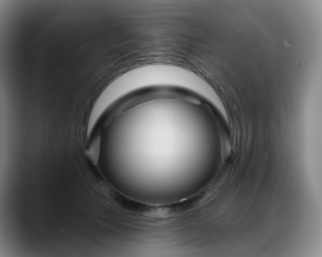 X0000088870609200706151755