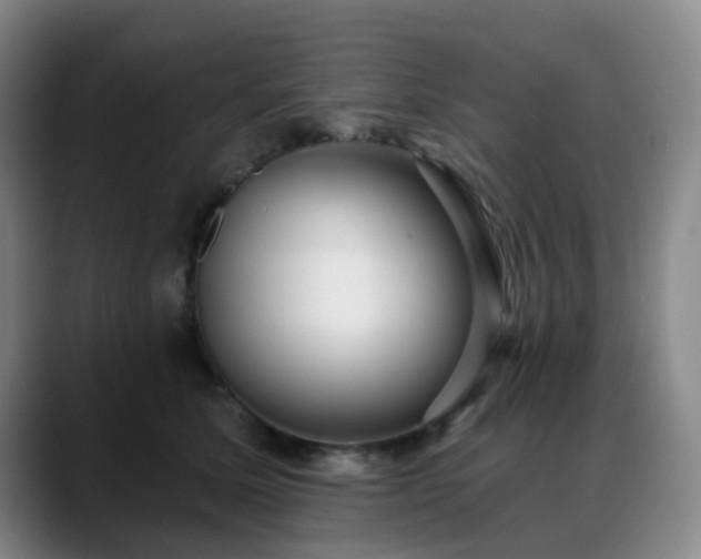 X0000088870611200706151755