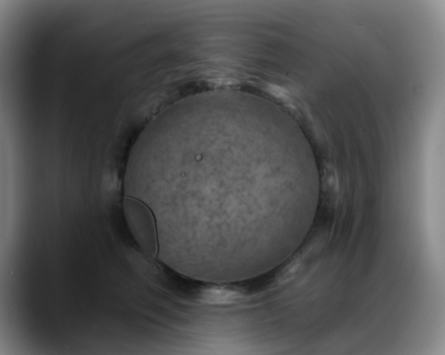 X0000088870614200706151755
