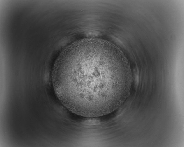 X0000088870619200706151754