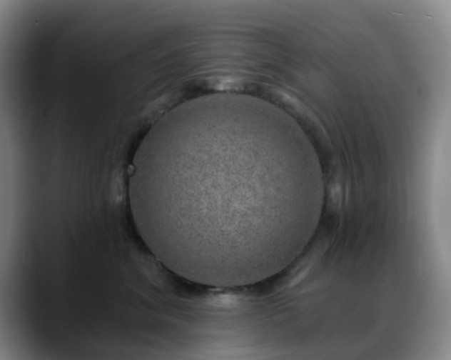 X0000088870620200706151754
