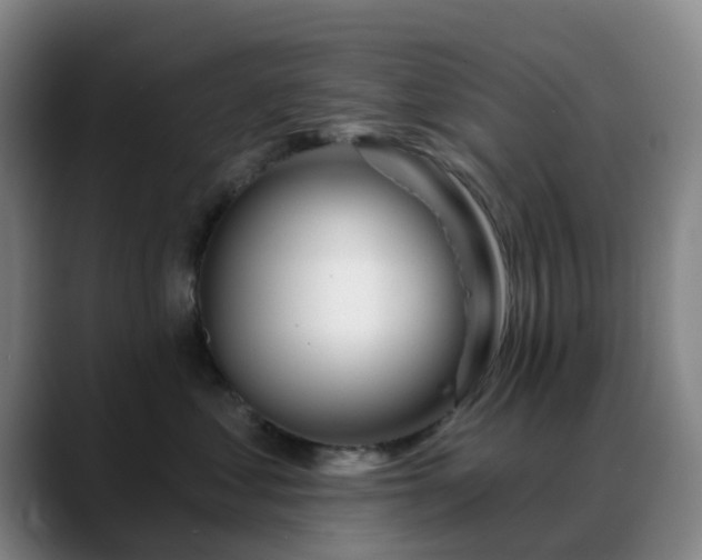 X0000088870621200706151754
