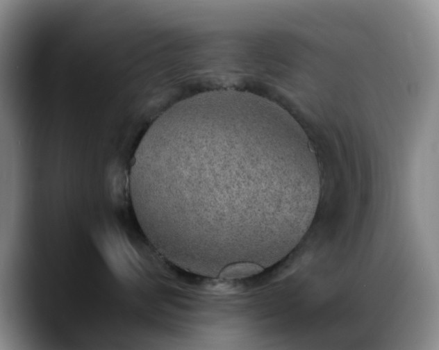 X0000088870624200706151754