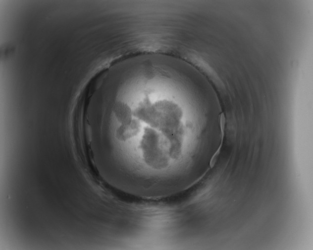 X0000088870626200706151754