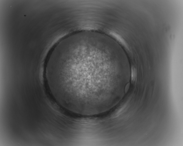 X0000088870627200706151754