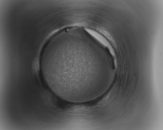 X0000088870628200706151754