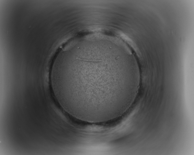 X0000088870633200706151754