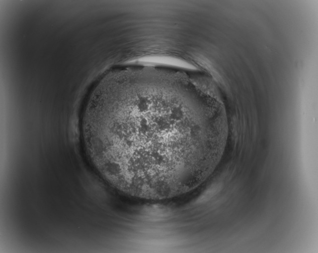 X0000088870634200706151754