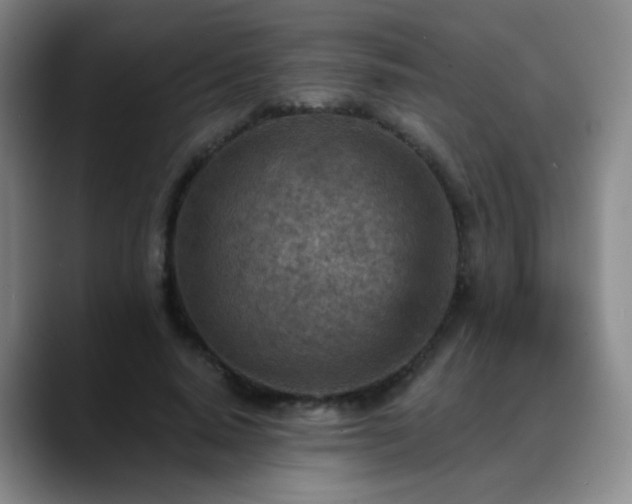 X0000088870640200706151754