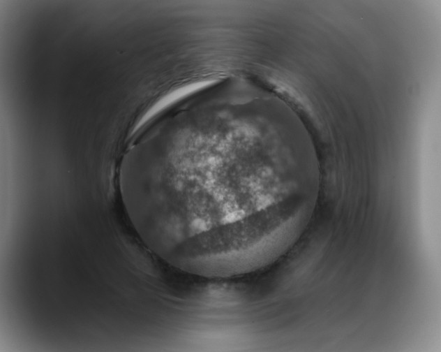 X0000088870641200706151754