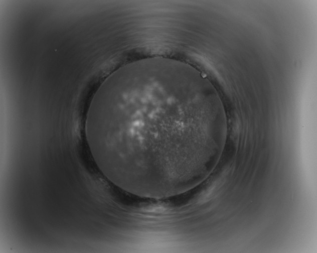 X0000088870643200706151754