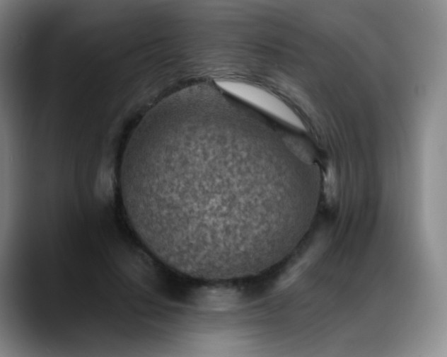 X0000088870644200706151754