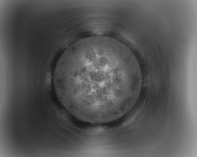 X0000088870646200706151754