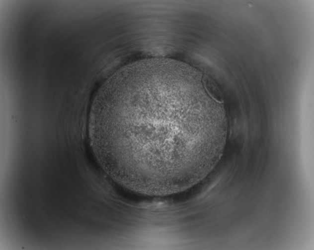 X0000088870647200706151754