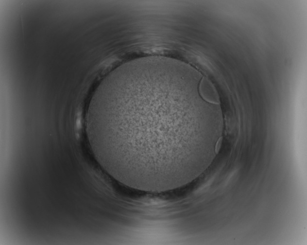 X0000088870648200706151754