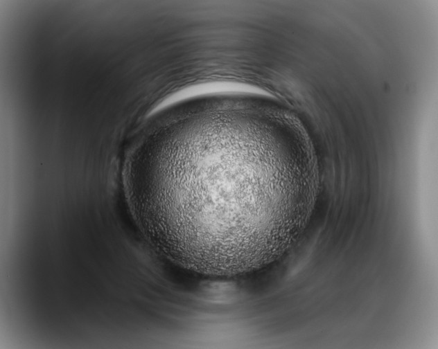 X0000088870649200706151754
