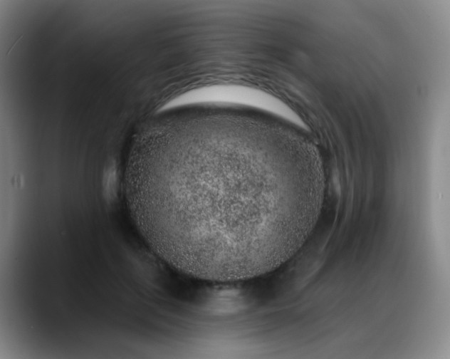 X0000088870651200706151754