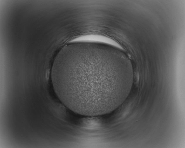 X0000088870652200706151754