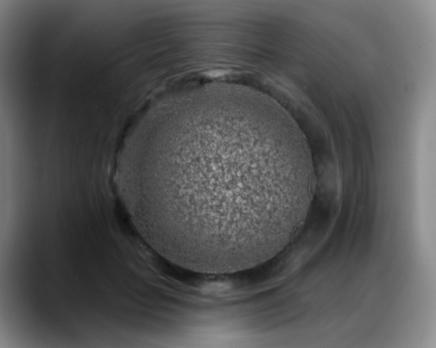 X0000088870653200706151754