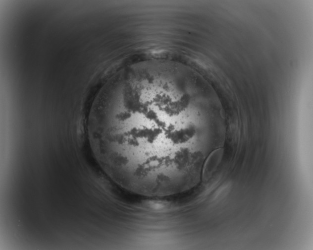 X0000088870654200706151754
