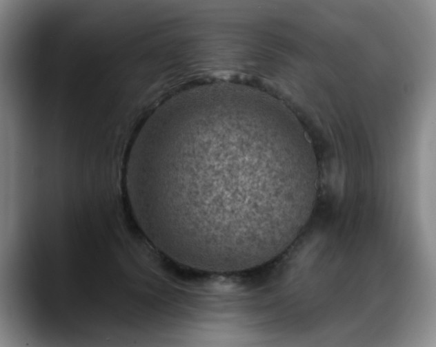 X0000088870656200706151754
