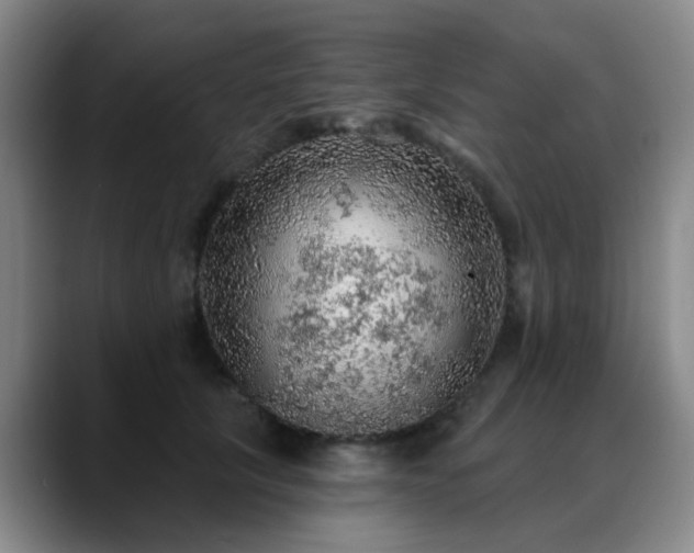 X0000088870657200706151754