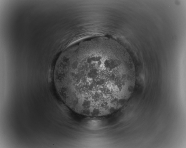 X0000088870658200706151754