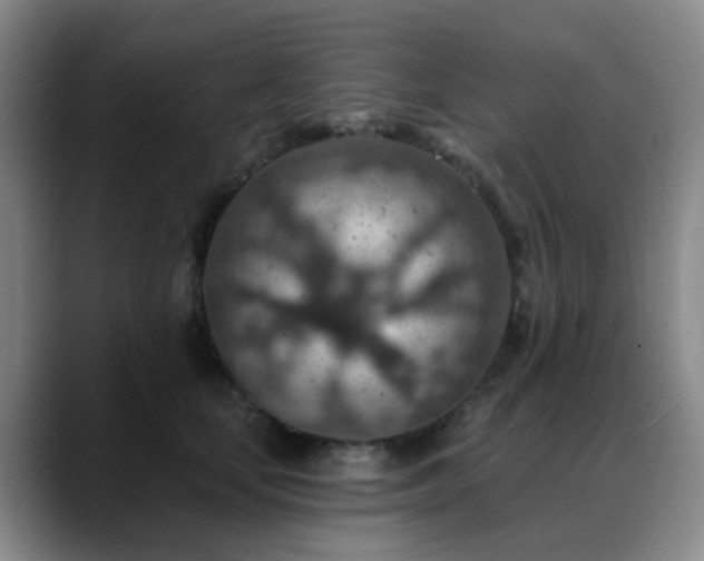 X0000088870659200706151754