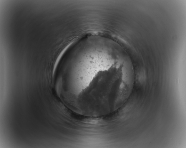 X0000088870661200706151754