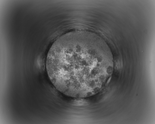 X0000088870666200706151754