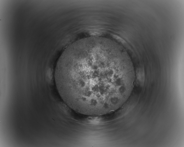 X0000088870667200706151754