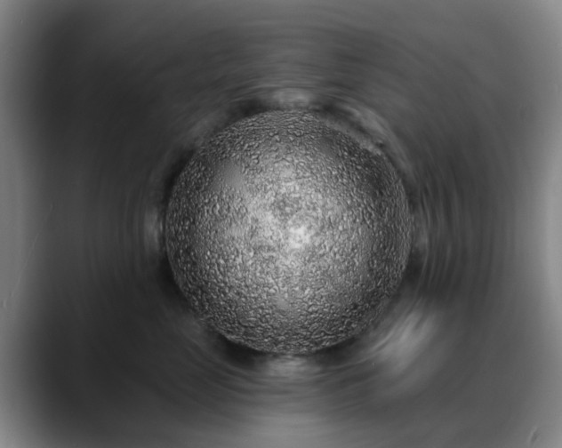 X0000088870669200706151754