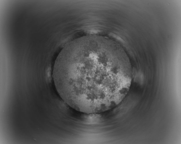 X0000088870670200706151754