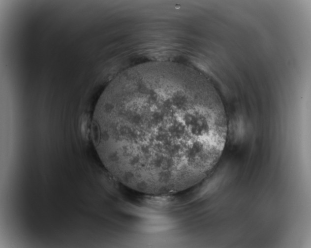 X0000088870671200706151754