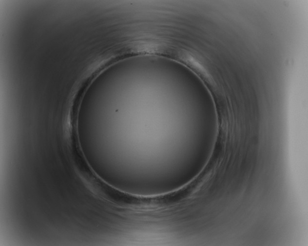 X0000088870674200706151754