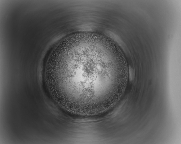 X0000088870675200706151754
