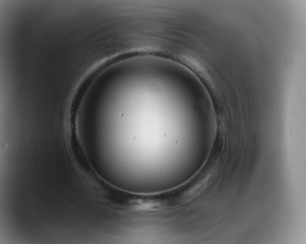 X0000088870676200706151754