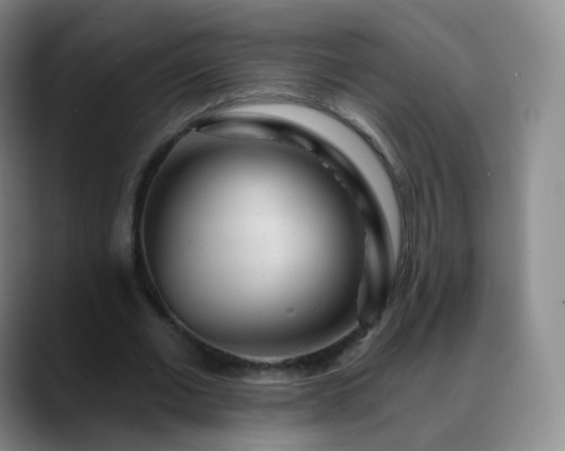 X0000088870677200706151754