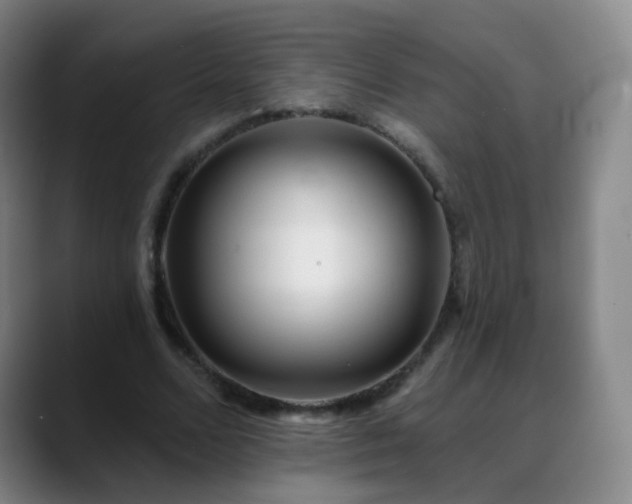 X0000088870680200706151754