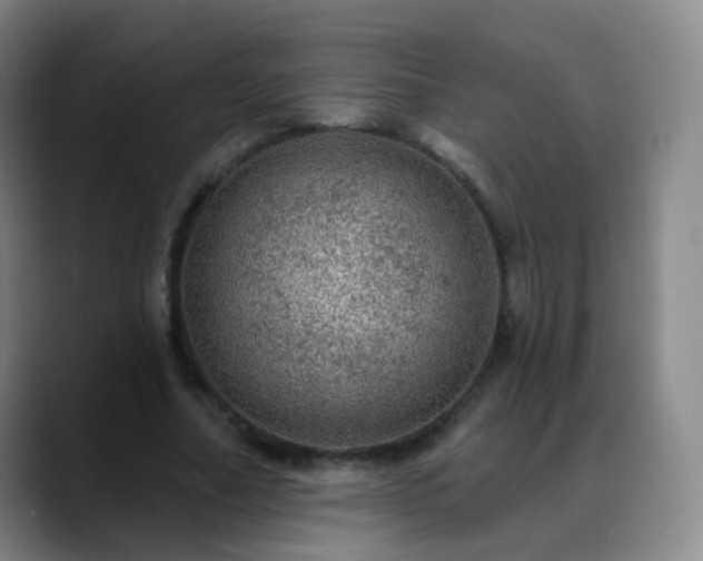 X0000088870682200706151754