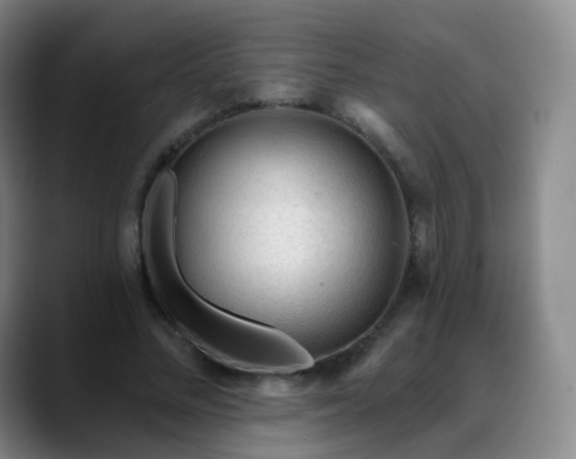 X0000088870684200706151754