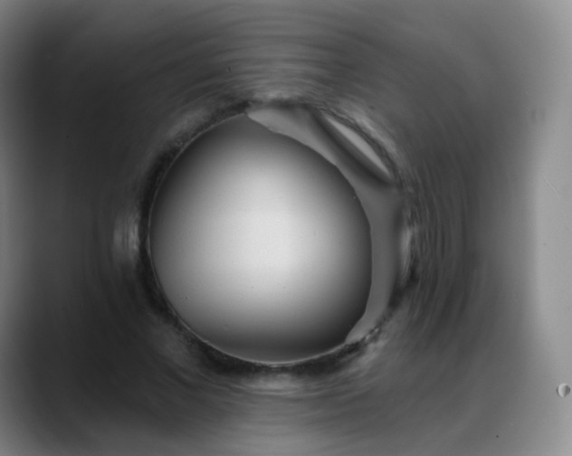 X0000088870685200706151754