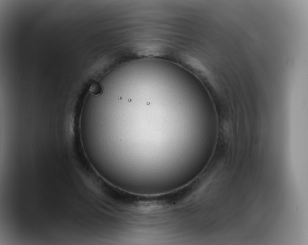 X0000088870686200706151754