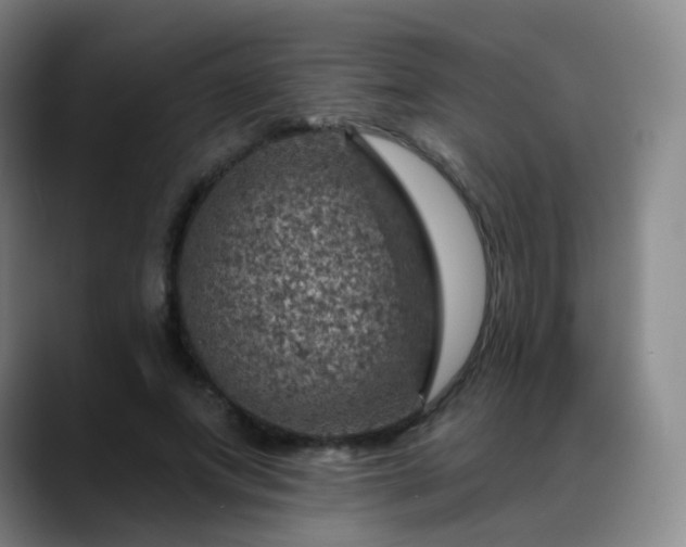 X0000088870687200706151754