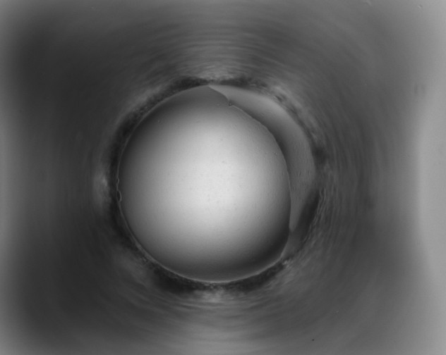 X0000088870688200706151754