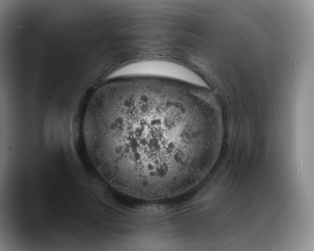 X0000088870691200706151754
