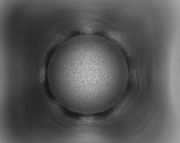 X0000088870694200706151754