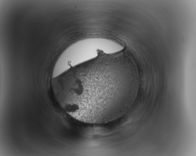 X0000088870695200706151754