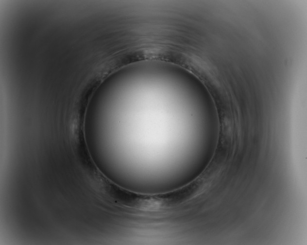 X0000088870698200706151754