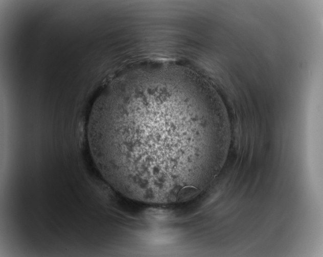 X0000088870699200706151754